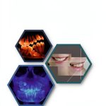 Orthodontics Textbook Mosby Kindle 2nd Edition 1207 pages-0
